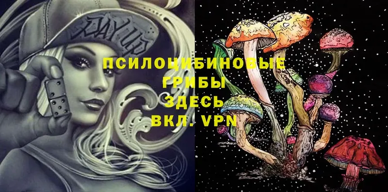 купить наркоту  MEGA зеркало  Псилоцибиновые грибы MAGIC MUSHROOMS  Будённовск 